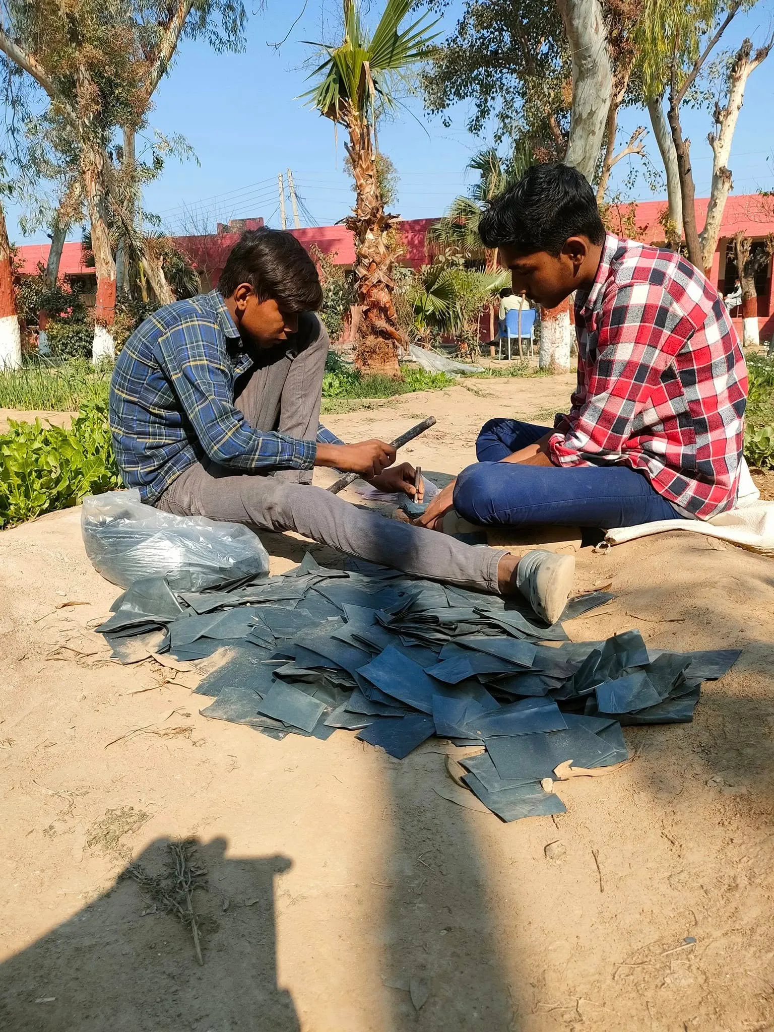 Green Seekers Activity